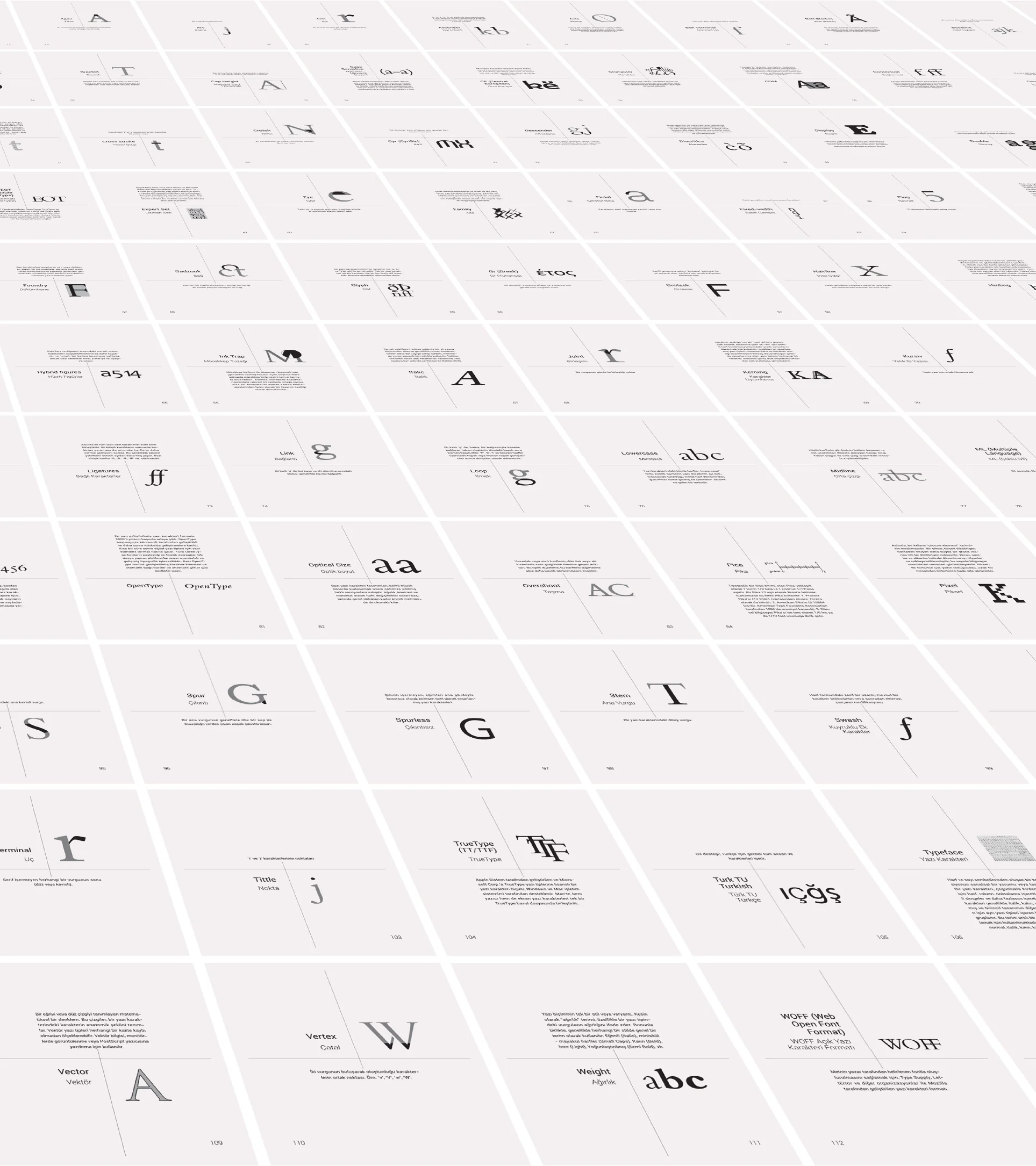 Typographic Terminology – the pages laid out
